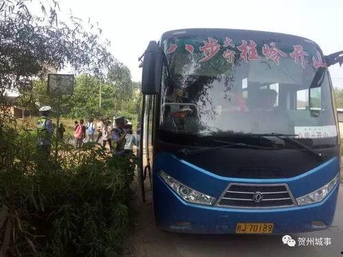 爆料客车的视频播放大全,全景呈现行业风采